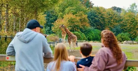 Dublin Zoo Entry Ticket: A Wild Experience with 400+ Animals