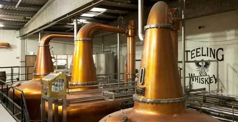 Dublin: Teeling Whiskey Distillery Tour & Tasting