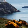 Dublin Bay: Cruise from the City Centre to Dun Laoghaire