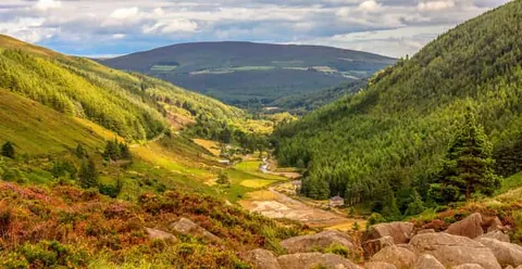 Dublin: Wild Wicklow Mountains, Glendalough & Guinness Lake
