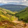 Dublin: Wild Wicklow Mountains, Glendalough & Guinness Lake