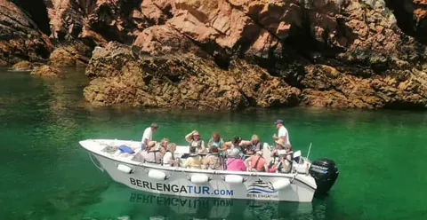 Peniche: Tour to Berlengas and Glass-Bottom Boat Cave Tour