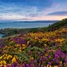 From Dublin: Half-Day Guided Coastal Tour to Howth Village