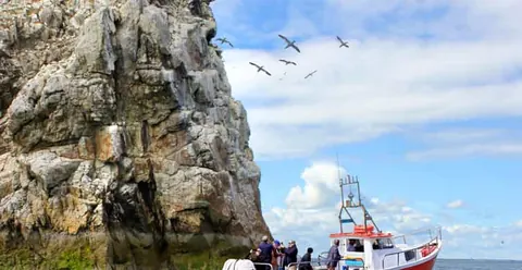 Dublin: Howth Coastal Boat Tour