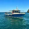Dublin: Ireland's Eye and Howth Coast Boat Tour