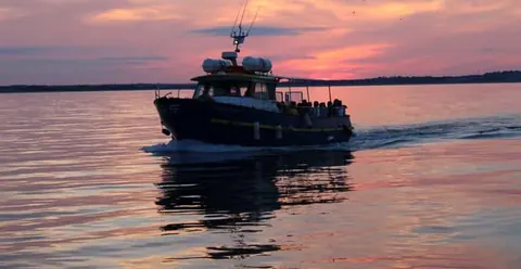 Dublin: Sunset Cruise in Howth