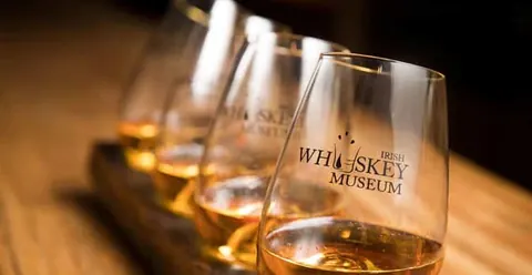 Dublin: Irish Whiskey Museum Guided Tour & Tasting