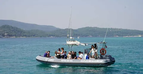 Setúbal and Tróia: Dolphin Watching Boat Tour