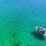 Setúbal and Tróia: Dolphin Watching Boat Tour