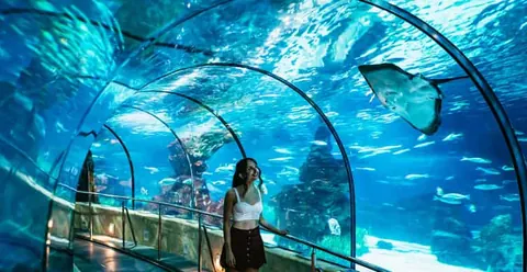 Barcelona Aquarium: Entry Ticket