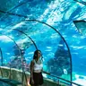Barcelona Aquarium: Entry Ticket
