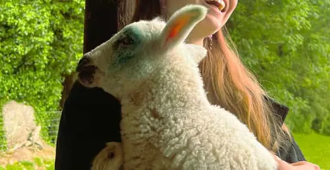 From Dublin: Wicklow, Glendalough, Waterfall & Sheepdog Show