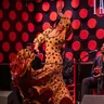 Barcelona: Los Tarantos Flamenco Show
