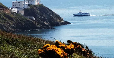 Dublin: Dublin Bay Cruise from Dun Laoghaire to Howth