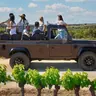 From Barcelona: Penedès Vineyards Tour by 4WD w/Wine & Cava