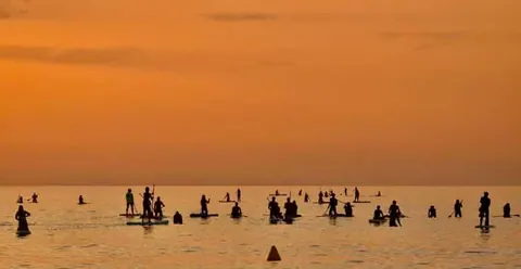 Barcelona: Paddleboarding at Sunrise Incl.: instructor, equipment, photos, and coffee