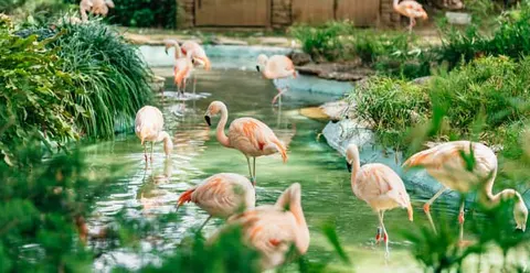 Barcelona Zoo: Skip The Line Ticket