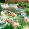 Barcelona Zoo: Skip The Line Ticket