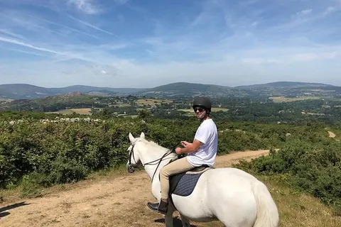 Enjoying the views across the Wicklow hills.