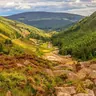 Wild Wicklow Tour: Wicklow Mountains, Glendalough & Guinness Lake