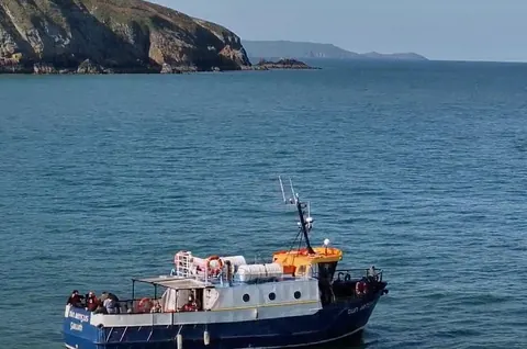 Howth Cliffs and Lighthouses Boat Tour