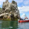 Howth Coastal Boat Tour (Ireland's Eye Ferries 50 mins trip)