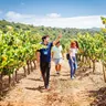 Arrabida and Sesimbra Small-Group Day Trip from Lisbon with Wine Tasting