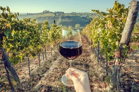 Private Lisbon Arrabida Wine Tour: Food & Wines, Mountain and Sea