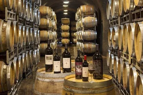 Private Lisbon Arrabida Wine Tour: Food & Wines, Mountain and Sea