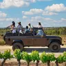 Penedes Wine & Cava Tasting & 4WD Vineyards Tour from Barcelona