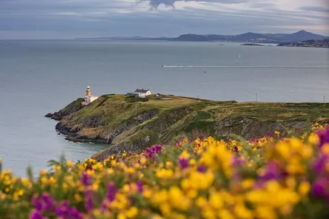 Howth Coastal Half-Day Bus Tour from Dublin with Live Guide