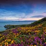 Howth Coastal Half-Day Bus Tour from Dublin with Live Guide