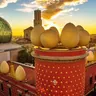 Girona & Dali Museum Small Group Tour with Pick-up from Barcelona